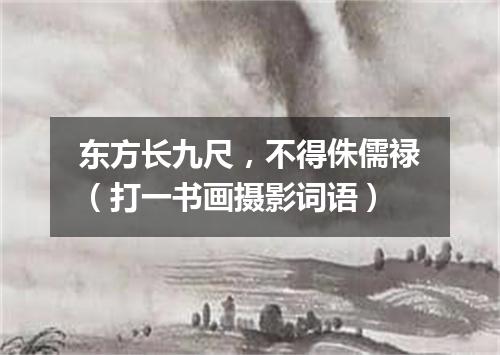 东方长九尺，不得侏儒禄（打一书画摄影词语）
