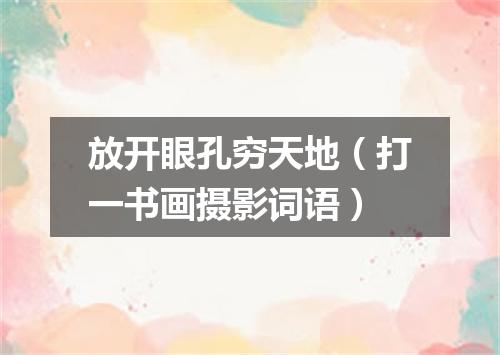 放开眼孔穷天地（打一书画摄影词语）