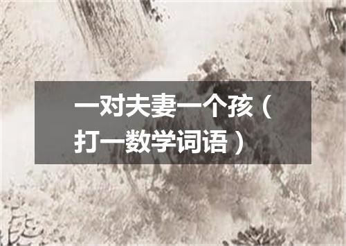一对夫妻一个孩（打一数学词语）
