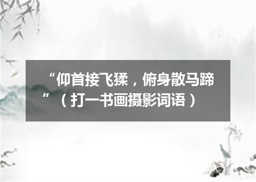 “仰首接飞猱，俯身散马蹄”（打一书画摄影词语）