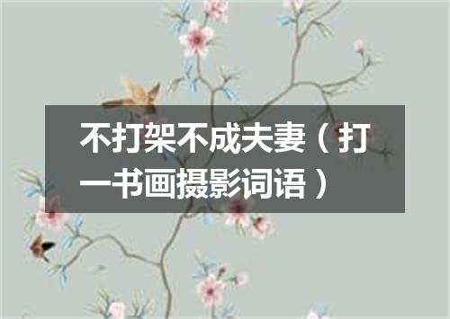 不打架不成夫妻（打一书画摄影词语）