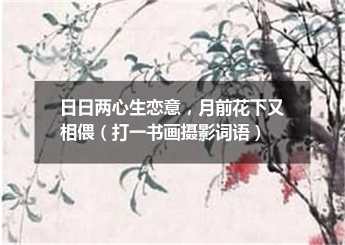 日日两心生恋意，月前花下又相偎（打一书画摄影词语）