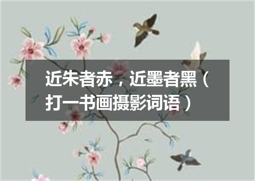 近朱者赤，近墨者黑（打一书画摄影词语）