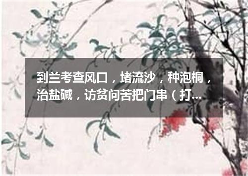 到兰考查风口，堵流沙，种泡桐，治盐碱，访贫问苦把门串（打一书画摄影词语）