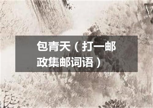 包青天（打一邮政集邮词语）