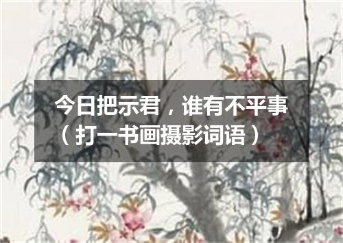 今日把示君，谁有不平事（打一书画摄影词语）