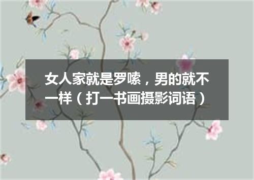 女人家就是罗嗦，男的就不一样（打一书画摄影词语）
