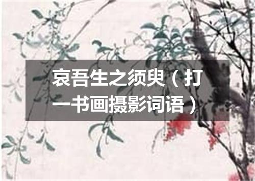 哀吾生之须臾（打一书画摄影词语）
