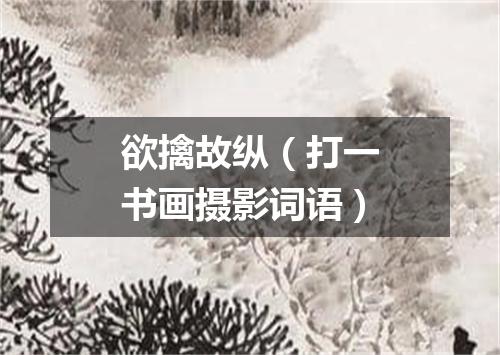 欲擒故纵（打一书画摄影词语）