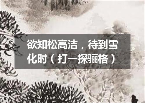 欲知松高洁，待到雪化时（打一探骊格）