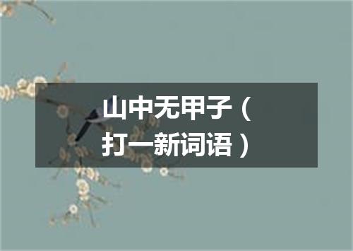 山中无甲子（打一新词语）