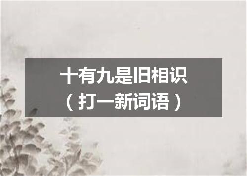 十有九是旧相识（打一新词语）