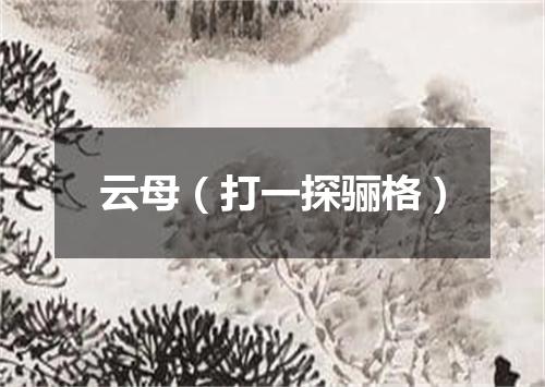 云母（打一探骊格）