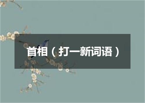 首相（打一新词语）