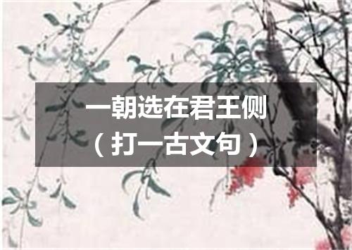 一朝选在君王侧（打一古文句）