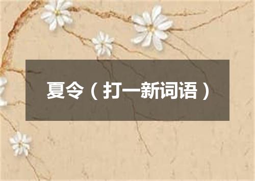 夏令（打一新词语）