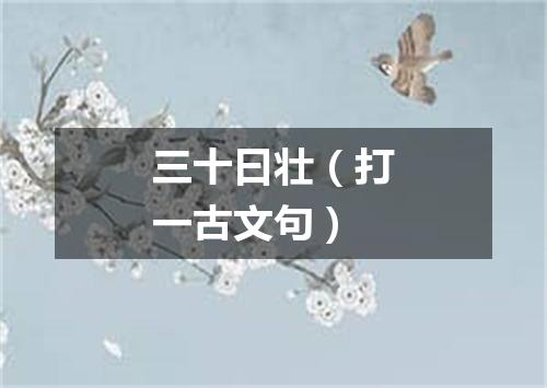 三十曰壮（打一古文句）