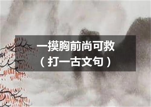 一摸胸前尚可救（打一古文句）