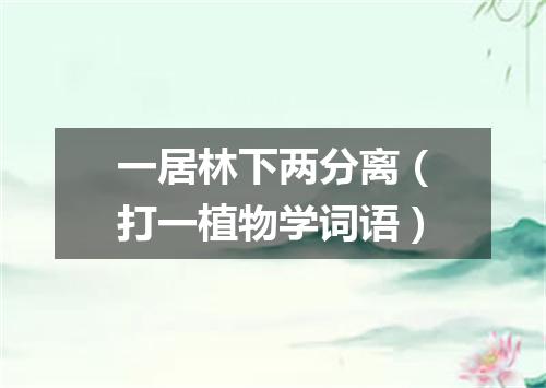 一居林下两分离（打一植物学词语）