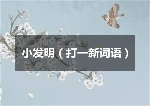 小发明（打一新词语）