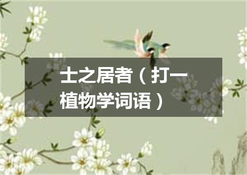 士之居者（打一植物学词语）