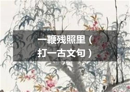 一鞭残照里（打一古文句）