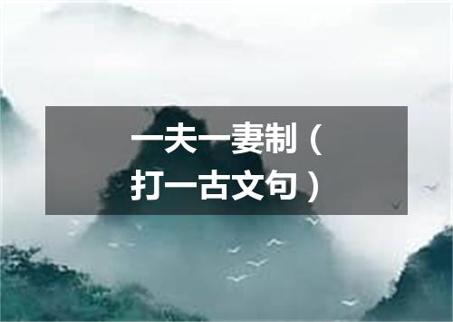 一夫一妻制（打一古文句）