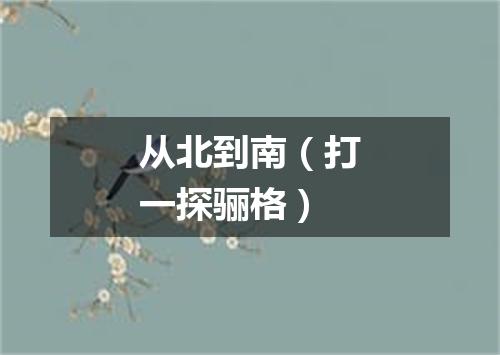 从北到南（打一探骊格）