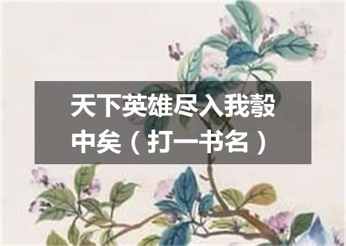 天下英雄尽入我彀中矣（打一书名）