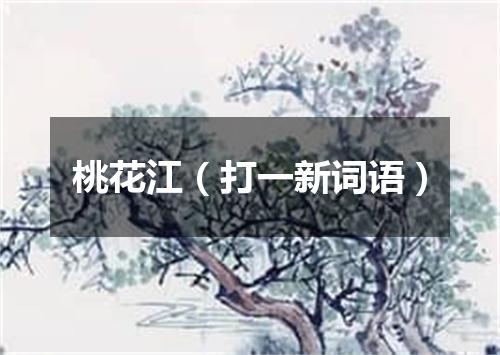 桃花江（打一新词语）