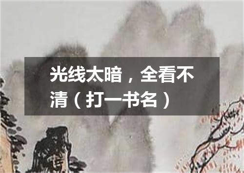 光线太暗，全看不清（打一书名）