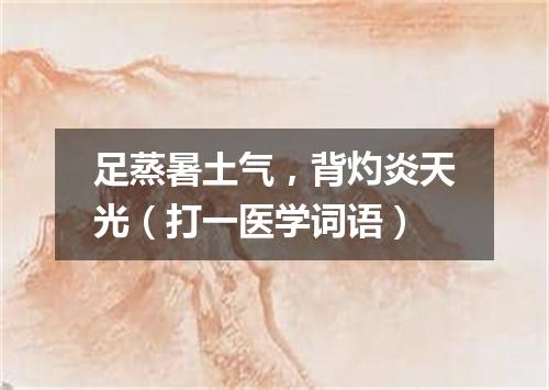 足蒸暑土气，背灼炎天光（打一医学词语）