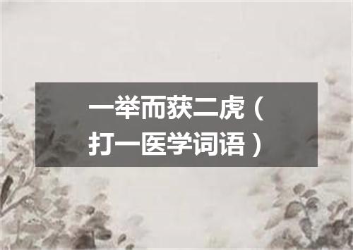 一举而获二虎（打一医学词语）