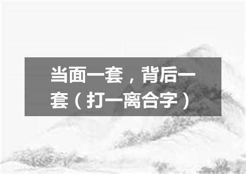 当面一套，背后一套（打一离合字）
