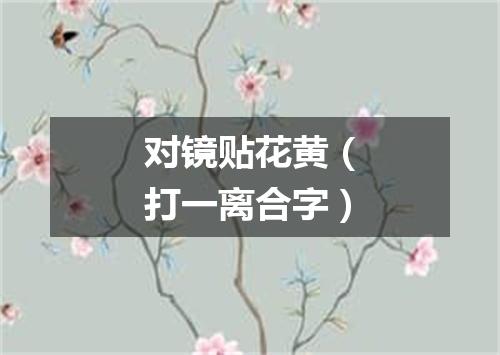 对镜贴花黄（打一离合字）