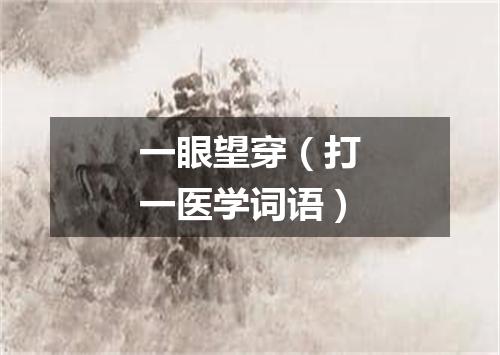 一眼望穿（打一医学词语）