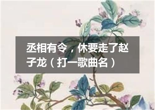 丞相有令，休要走了赵子龙（打一歌曲名）