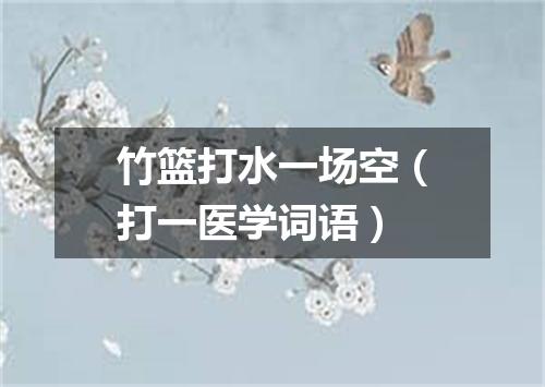 竹篮打水一场空（打一医学词语）