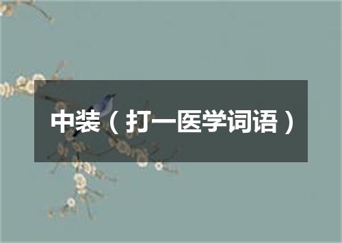 中装（打一医学词语）
