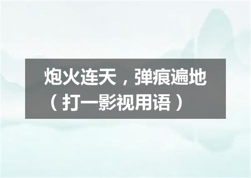 炮火连天，弹痕遍地（打一影视用语）