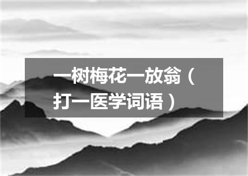 一树梅花一放翁（打一医学词语）