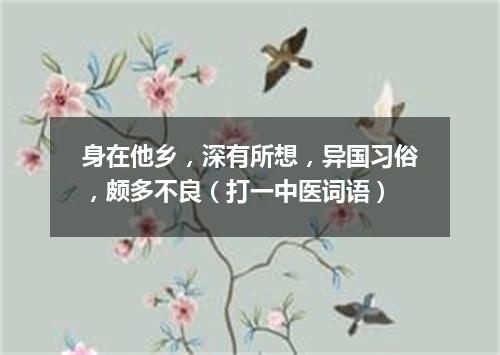 身在他乡，深有所想，异国习俗，颇多不良（打一中医词语）