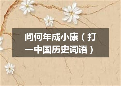 问何年成小康（打一中国历史词语）