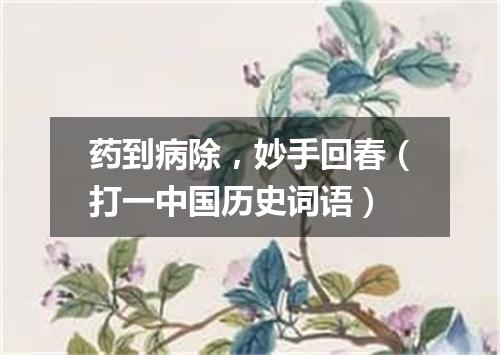 药到病除，妙手回春（打一中国历史词语）