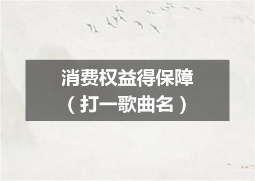 消费权益得保障（打一歌曲名）