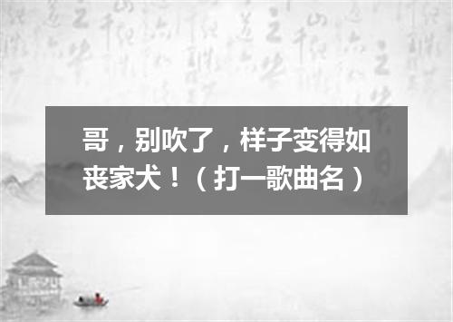 哥，别吹了，样子变得如丧家犬！（打一歌曲名）
