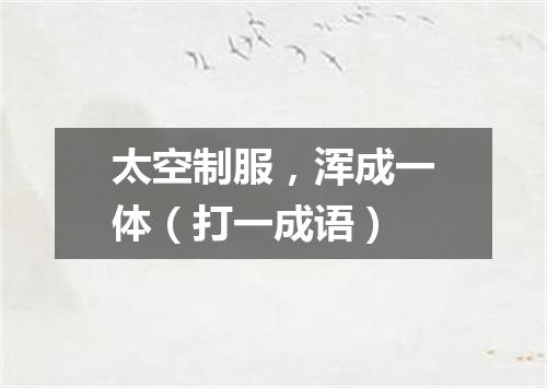 太空制服，浑成一体（打一成语）