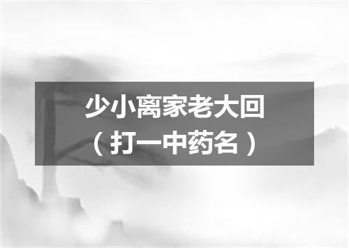 少小离家老大回（打一中药名）