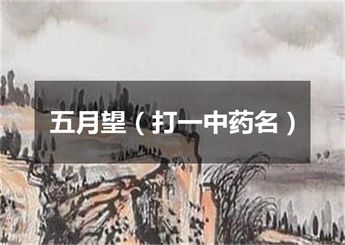 五月望（打一中药名）