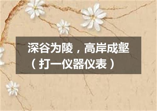 深谷为陵，高岸成壑（打一仪器仪表）